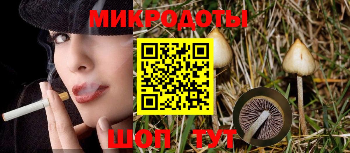 Псилоцибиновые грибы прущие грибы  Вход с VPN  Псилоцибиновые грибы MAGIC MUSHROOMS  Реутов 